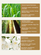 Three fragrance descriptions with corresponding images of nature scenes.